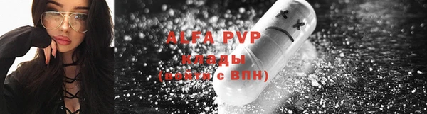 индика Алексин