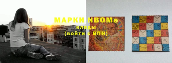 индика Алексин