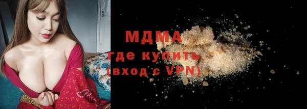 индика Алексин