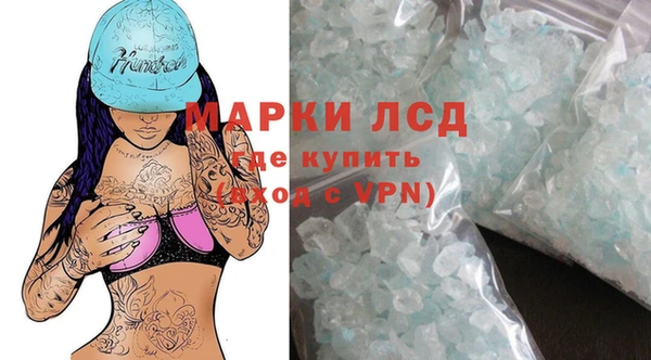 индика Алексин