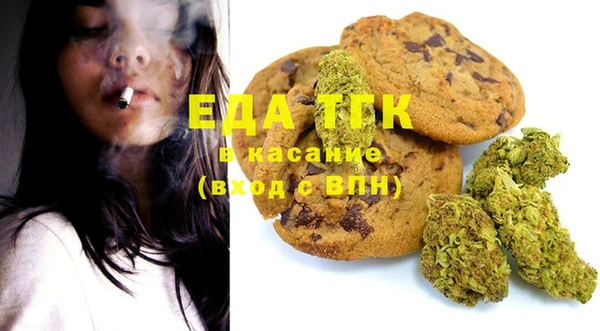 индика Алексин